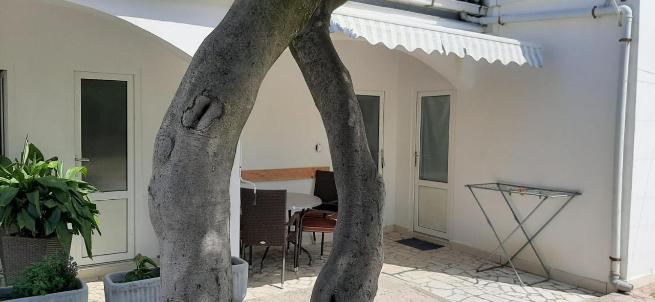 פג Rooms & Apartments Kaurloto מראה חיצוני תמונה